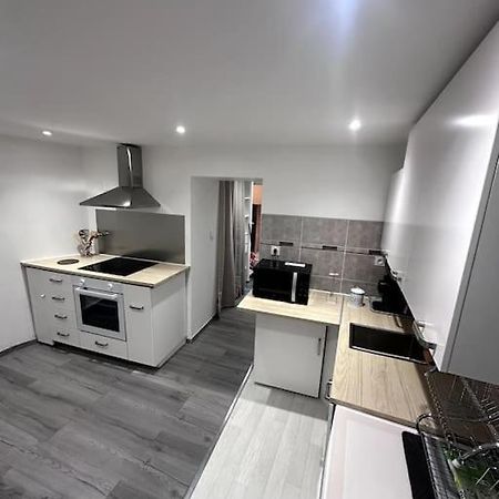 Appartement T4 En Hyper-Centre Bourgoin-Jallieu Buitenkant foto