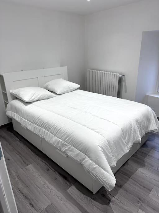 Appartement T4 En Hyper-Centre Bourgoin-Jallieu Buitenkant foto