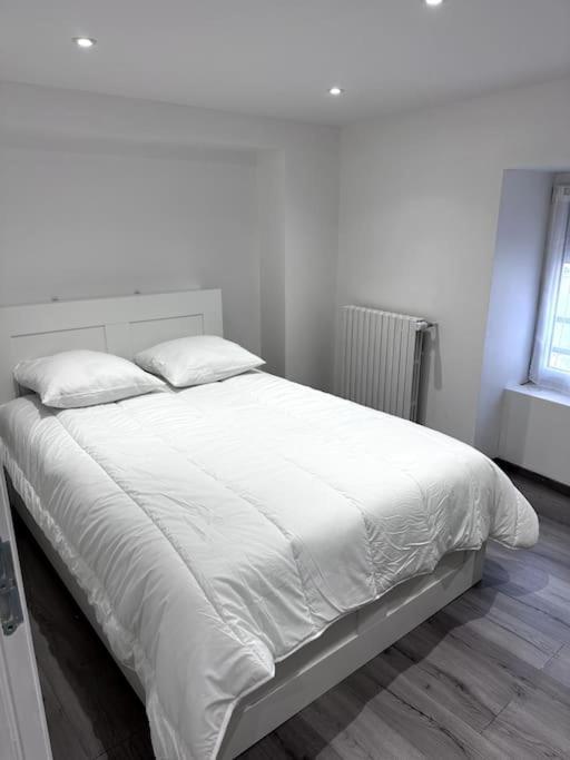 Appartement T4 En Hyper-Centre Bourgoin-Jallieu Buitenkant foto