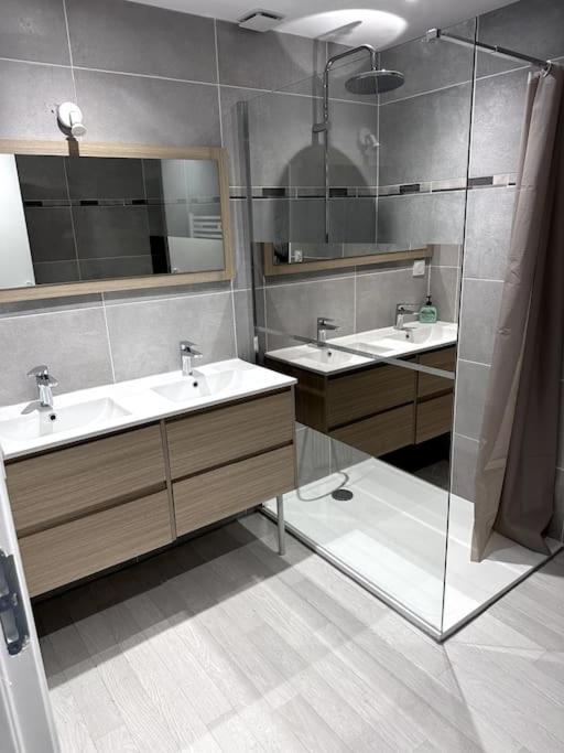 Appartement T4 En Hyper-Centre Bourgoin-Jallieu Buitenkant foto
