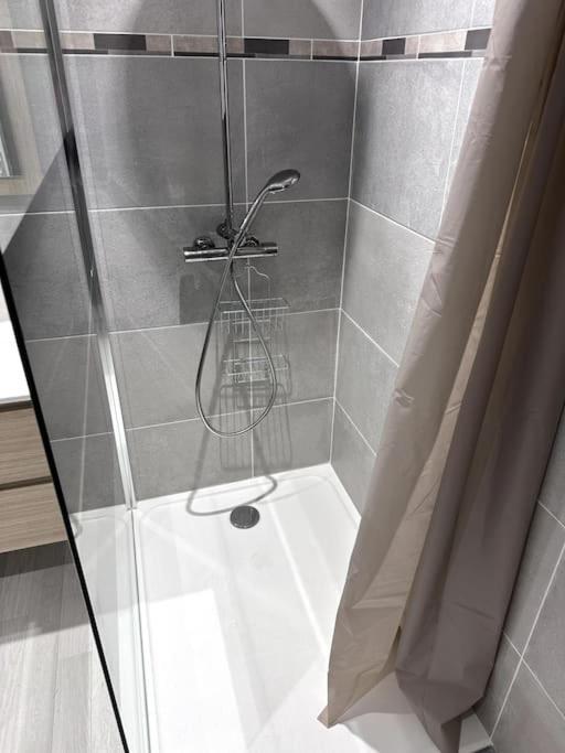 Appartement T4 En Hyper-Centre Bourgoin-Jallieu Buitenkant foto