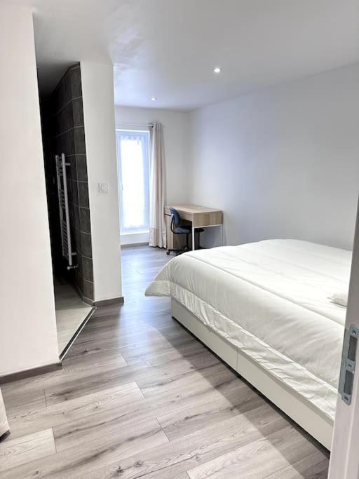 Appartement T4 En Hyper-Centre Bourgoin-Jallieu Buitenkant foto