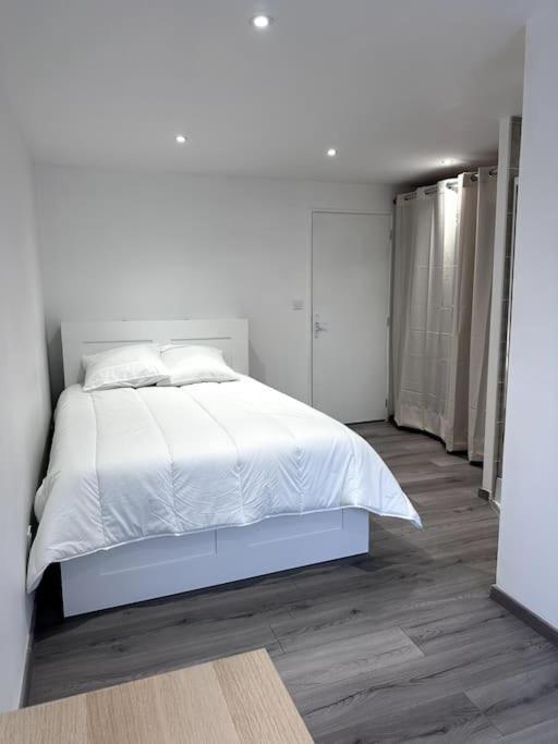 Appartement T4 En Hyper-Centre Bourgoin-Jallieu Buitenkant foto